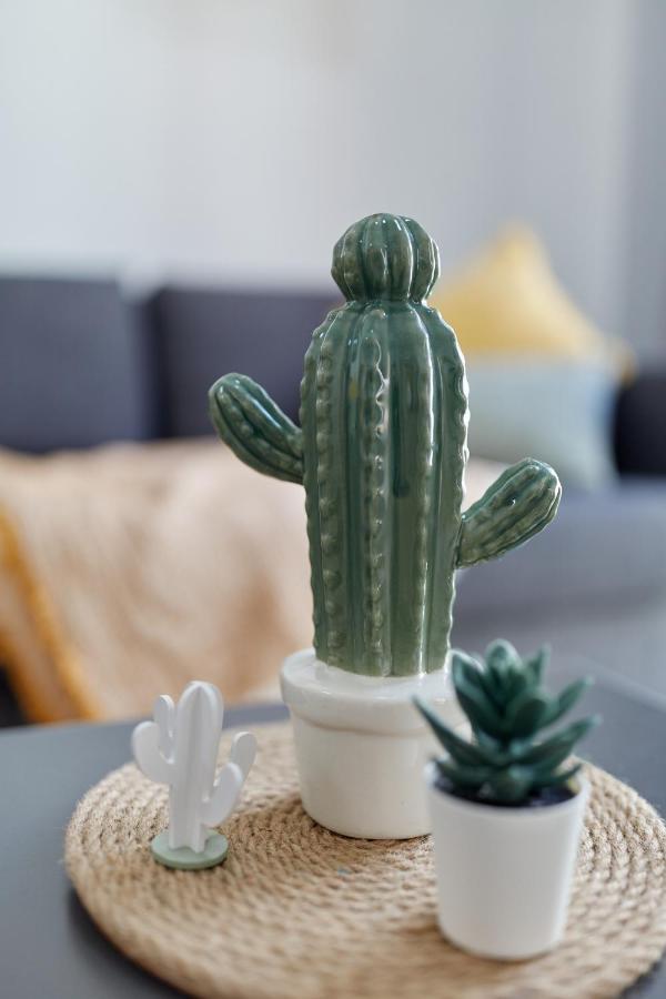 Apartment Penthouse Cactus Old Center *