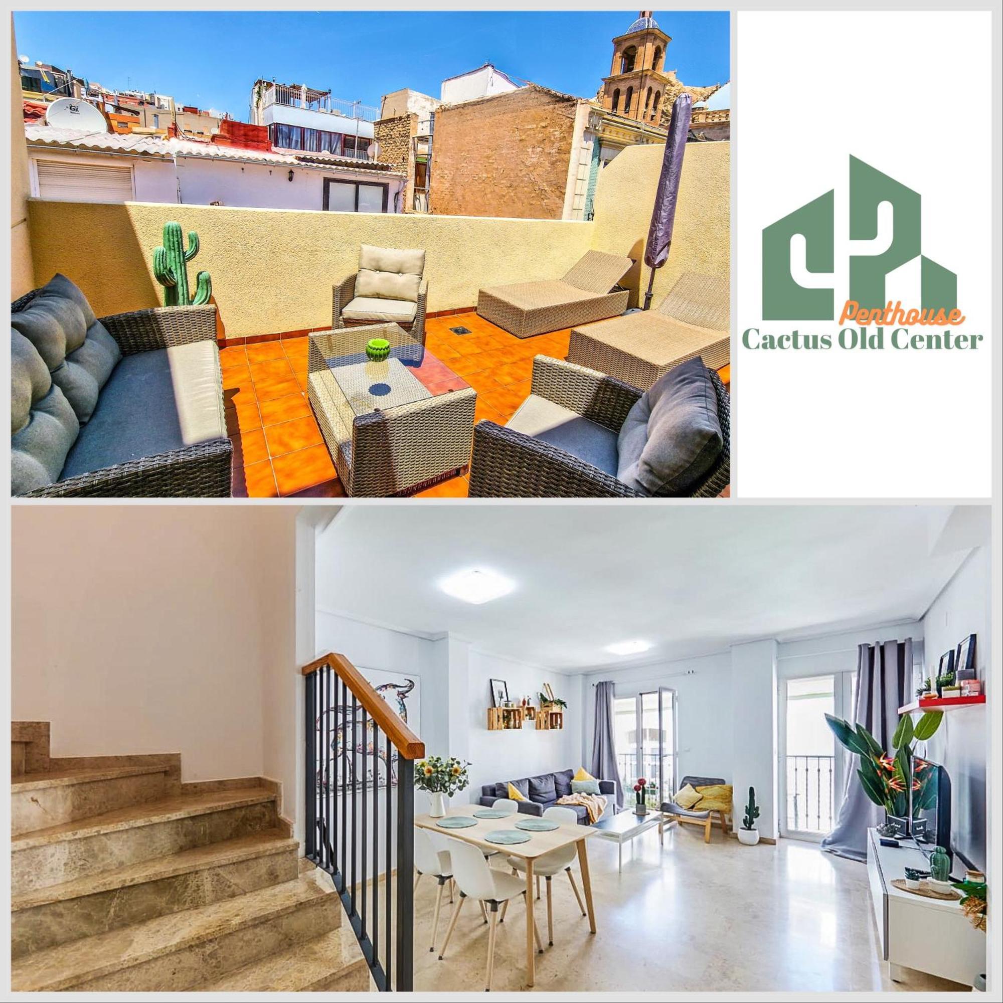 Apartment Penthouse Cactus Old Center *